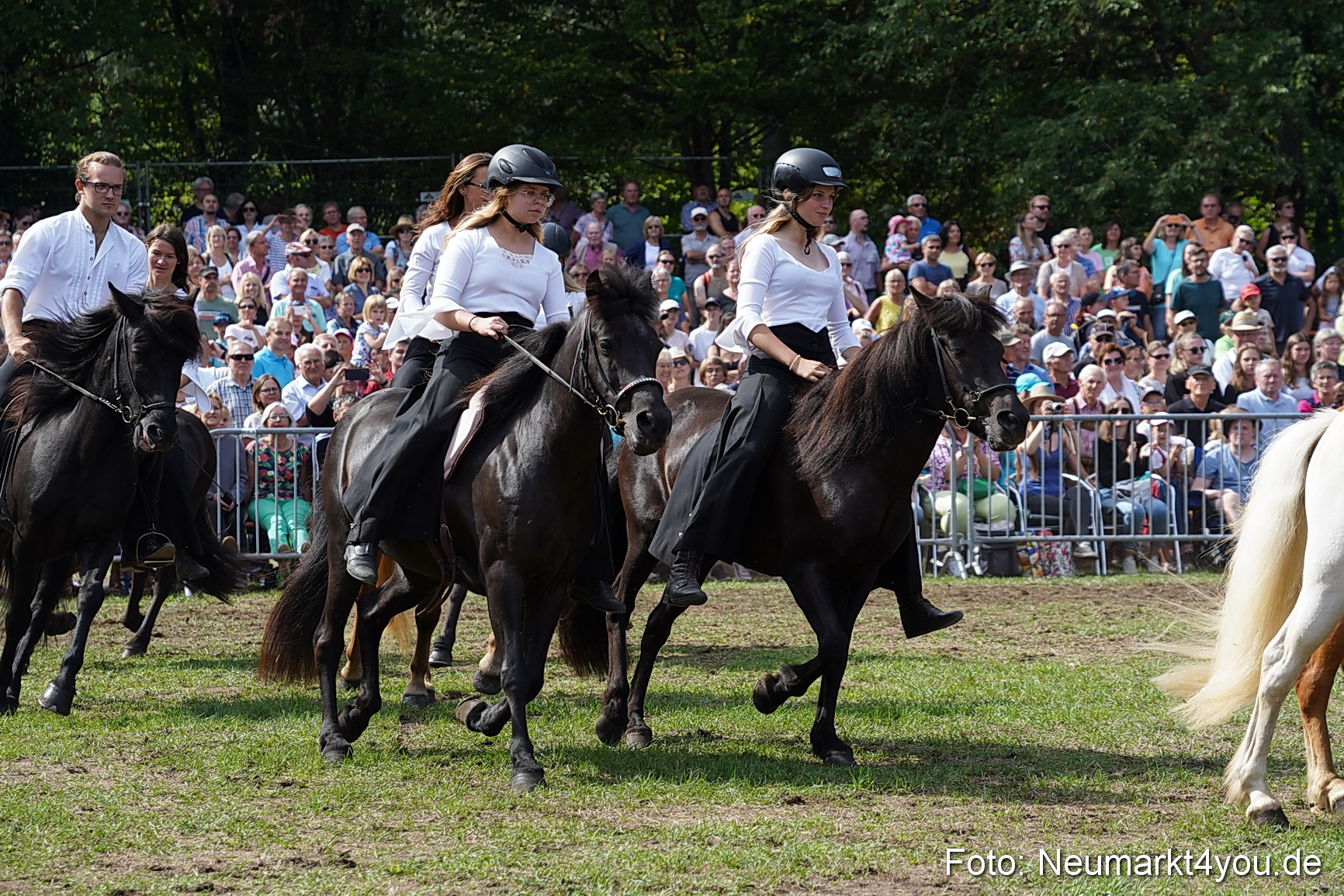 Pferde und Fohlenschau 2022 0261 